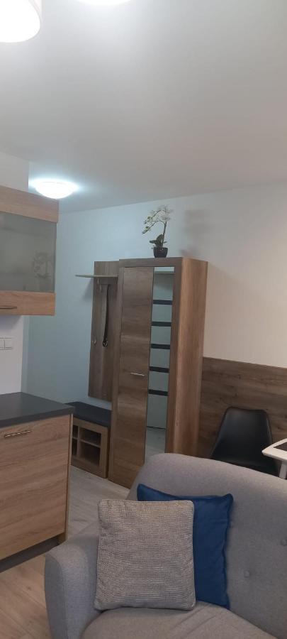 Апартаменты Apartman Central Банска-Бистрица Экстерьер фото